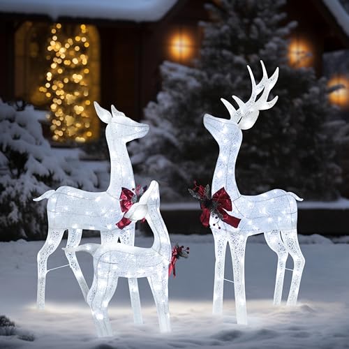 Yardenaler Lighted Holiday Decoration